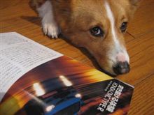 読めば読むほど・・・。 読めば読むほど・・・。