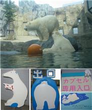 [北海道] 高速道路での私見と旭山動物園に見る”おもてなし”