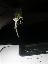 ブログ担当Ｔ宅ガレージにて