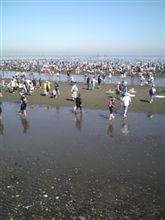 牛込海岸