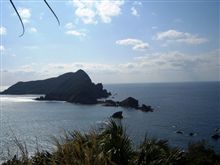 天気良いので