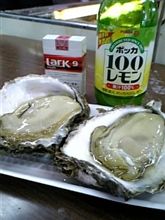 お魚 >゜ )m~E ミ お魚 >゜ )m~E ミ