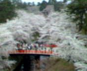 東北レポート二日目その一