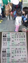 天皇賞・春「G1」 天皇賞・春「G1」