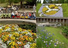 今日も公園へ