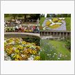 今日も公園へ