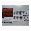 スパイダー、パイレーツ前売り買いましたが・・・