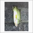 自己記録更新！！