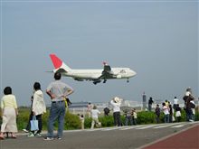 さくらの山