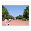 今日は公園でソフトボールの練習。