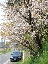 ハイオク給油で行こう！～東北１１００Kmの旅～
