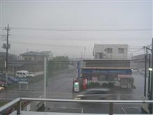 ヒョー！！