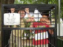 珍獣 Homo sapiens
