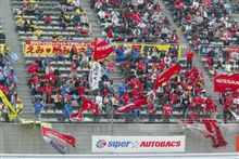 ドキュメント　日産応援団（N-JUNKIE）：&#39;07　第3戦　富士500ｋｍ　#41