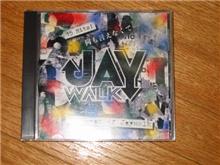 何も言えなくて・・・夏：ＪＡＹ－ＷＡＬＫ