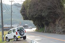 契約して来ました♪