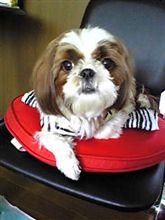 うちに遊びに来ました！！