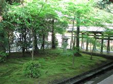 1ヵ月半点検