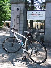 最高のダイエット方法は…？