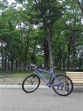 サイクリング(*^_^*) サイクリング(*^_^*)
