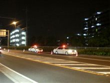 何だ何だ・・・何だ？