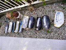 これも甲羅干し？