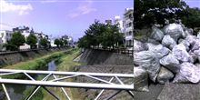 袋川の草刈