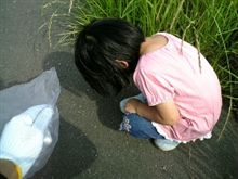 美化に貢献しよう