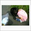 美化に貢献しよう