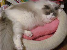 お久しぶりです。(^-^)