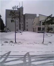 雪、そして…