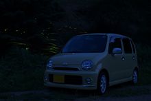 車とホタルの撮影