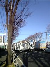 国道１６号 