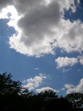 今日は夏かな? 今日は夏かな?