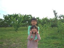 【 休日定番の・・・ 】