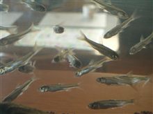 この生き物の名前は・・・ この生き物の名前は・・・