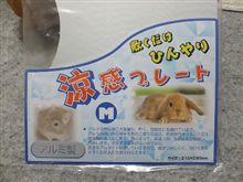 暑さ対策