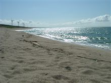 北栄町の海はこんな感じ