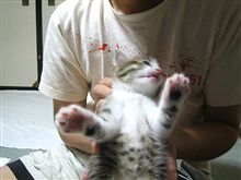 そろそろ名前でも・・・。