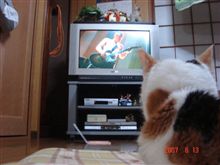 違いのわかる女？