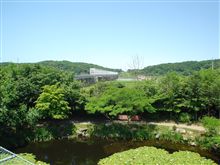 ＤＭＺ