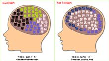 ふなとちゅうの脳味噌の中身・・・