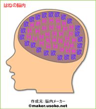 はねの頭の中は（滝汗
