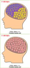 凄い診断結果が・・Σ(^∇^;)