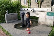 帰って来ました! 帰って来ました!