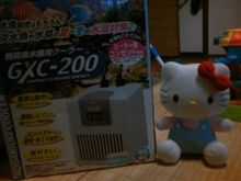 私、キティよ・・・（謎