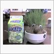 「ヤバイ」患者
