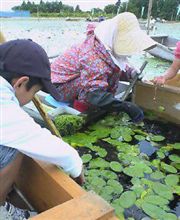 久々に活動したよｗ