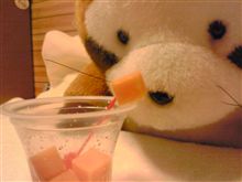 来週チーズ祭り開催です
