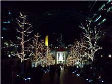東京クリスマス風景彩々♪②